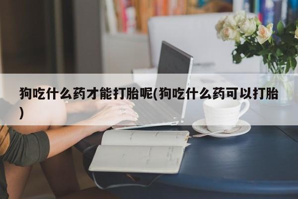 打胎药专卖微信方式狗吃什么药才能打胎呢(狗吃什么药可以打胎)
